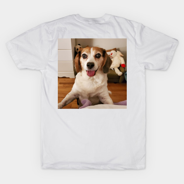 The Happy Beagle by Layla's Surgery Fundraiser